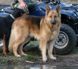 DSC00037.JPG
