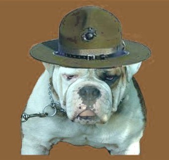 webassets/sgtbutterbean.jpg