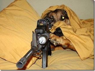 webassets/sniper.jpg